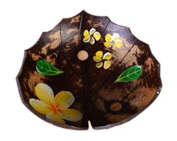 Coconut Shells Hand-painted Flowers Soap Dish Leaf Shape Soap Holder (Default: Default)